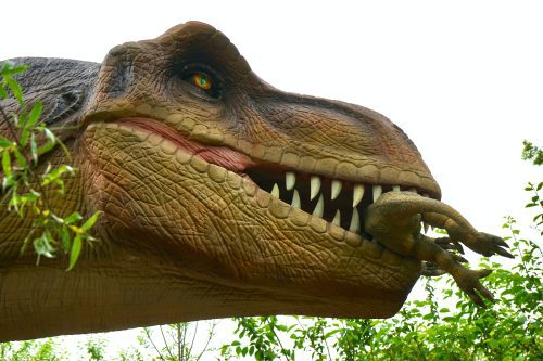 Park Dinozaurów Grudziądz – odkryj fascynujący świat prehistorycznych stworzeń